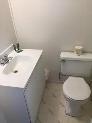 a bathroom with a white toilet and a sink at WhiteTail Suite - Misty River Lodge - in Radium Hot Springs