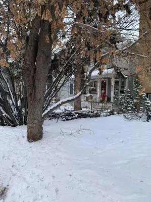 a house with a tree in the snow at Mission Historical Home in Calgary