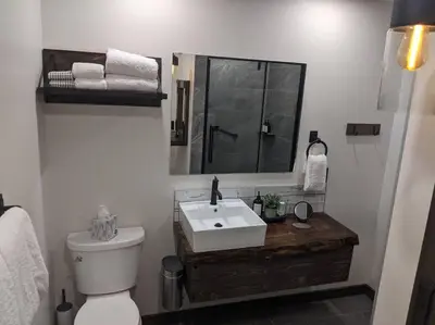 a bathroom with a sink and a toilet and a mirror at Skyline Suite 2Bdrm King in Valemount