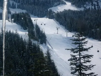a snow covered ski slope with a christmas tree at Whistler Ski In Ski Out in Whistler