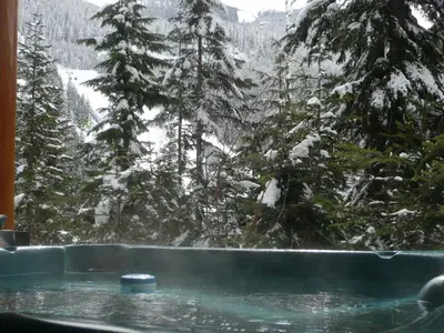 a hot tub with a view of a snow covered forest at Whistler Ski In Ski Out in Whistler
