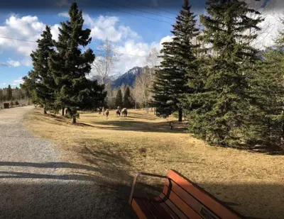 a park bench sitting on the side of a road at Worldmark Canmore Banff Alberta Canada in Canmore
