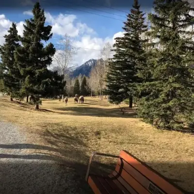 2 Bd Worldmark Canmore Banff Condo