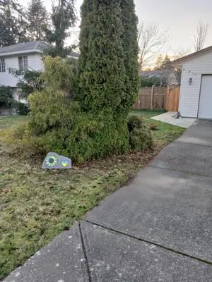 a box sitting in the grass next to a tree at Serenity Bed and Breakfast in Comox