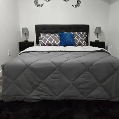 Cozy New 1 bed basement suite