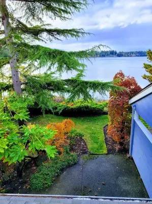 a view of a yard with a tree and a lake at Aloha Cottage, Nanoose Bay - 2 Bdrm Oceanfront Unit with Private Deck in Nanoose Bay