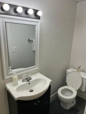 a bathroom with a sink and a toilet and a mirror at Cozy Escape in the City in Port Coquitlam