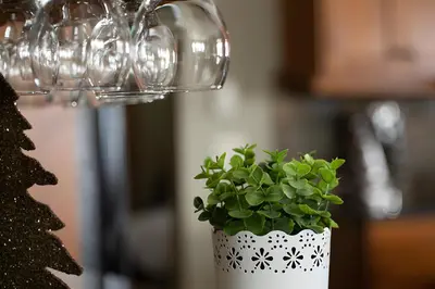 a green plant in a white pot next to wine glasses at Dwight Out Chalet with Hot Tub in Big White