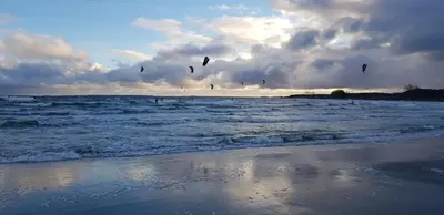 a group of birds flying over the ocean at Shorewater Resort, Qualicum Beach in Qualicum Beach