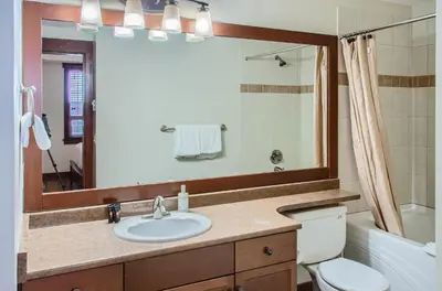 a bathroom with a sink and a toilet and a mirror at Stonegate Resort Unit C202 in Big White