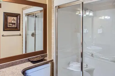 a bathroom with a shower and a toilet at Stonegate Resort Unit C103 in Big White
