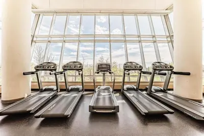 a row of treadmills in a gym with a large window at Elevated Elegance in Calgary