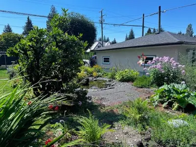 a garden in front of a house with flowers at Upper floor suite with Garden view near SFU & Skytrain in Coquitlam