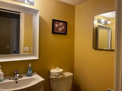 a bathroom with a sink and a toilet and a mirror at greenview mck sunny room in Calgary