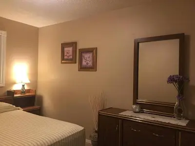a bedroom with a bed and a large mirror at Renovated 4 bedrooms 20 sleeps Shopping Center in Edmonton