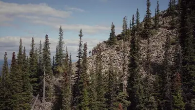 a group of trees on the side of a mountain at Jasper East Hostel - Near Jasper National Park East Gate Entrance in Jasper