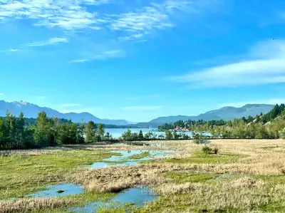 a field with a lake and mountains in the background at Lake View From Every Window! in Invermere