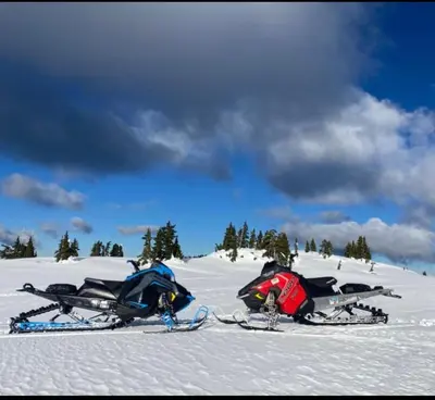 a group of snow skis in the snow at Brickwood Cabin in Sayward
