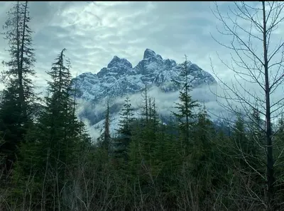 a snow covered mountain in the middle of a forest at Brickwood Cabin in Sayward