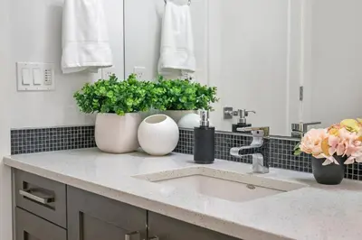 a kitchen counter with a sink and two vases with plants at Bright & Cozy 2-Bedroom Basement Suite in Chestermere