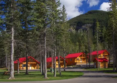 a group of lodges in the woods with trees at Jasper East Cabins in Jasper