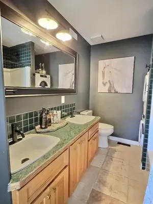 a bathroom with a sink and a mirror and a toilet at Taurean Vines Guest house in Keremeos