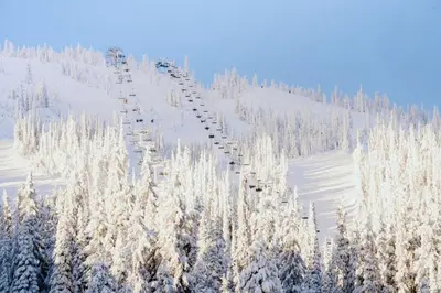 a snow covered hill with trees and a ski lift at The Dorm Ski-In Ski-Out Studio, Pool and Gym in Big White