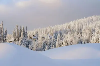 a ski lodge in the snow with snow covered trees at The Dorm Ski-In Ski-Out Studio, Pool and Gym in Big White