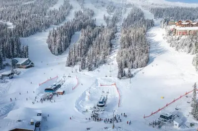 a group of people on a ski slope with trees at Fresh Tracks Retreat - Ski In Out Mtn View & Private Hot Tub in Big White
