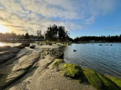 a beach with a body of water and trees at Beachside Townhouses at The Pacific Shores Strata Property in Nanoose Bay