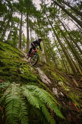a person riding a dirt bike down a hill at Elegant and Roomy Forest Getaway in North Vancouver