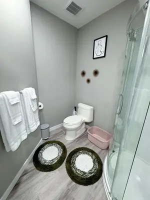 a bathroom with a toilet and a glass shower at 2 Bedroom Basement Suite in Edmonton