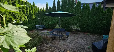 a table and chair with an umbrella in a garden at 1 block to Kelowna General Hospital 2 blocks to Beach 1km to OUC 1km to Downtown Kelowna 20min to YLW in Kelowna