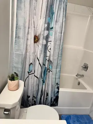 a bathroom with a toilet and a shower curtain at Tee's Oasis in Calgary