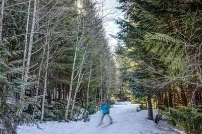 a person on skis in the snow in the woods at Ski-In-Out, Pool, Hot Tub, Sauna in Whistler