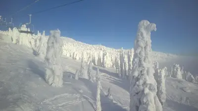 a snow covered mountain with snow covered trees and a ski lift at BigWhite Ski In-Out Chalet w Priv HotTub & Garage in Big White