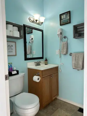 a bathroom with a toilet and a sink and a mirror at Westshore Garden Escape in Victoria