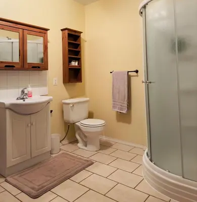 a bathroom with a toilet and a sink and a shower at Covepark house in Calgary