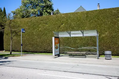 a bus stop with a bench on a street at West King Edward Luxury Guest Home in Vancouver