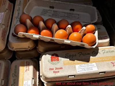 a bunch of eggs in boxes on a shelf at Runaway Express Coach in Oliver