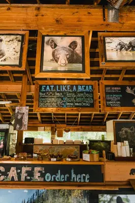 a picture of a koala on the wall of a store at River Safari Bear Den in Blue River