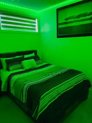 a green bedroom with a bed in a room with lights at Modern 2 bedroom guest suite in Calgary