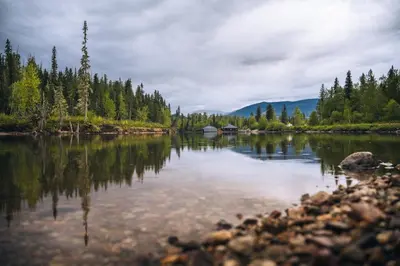 a body of water with trees on the shore at River Safari Eagles Nest in Blue River