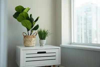 a white dresser with two plants on it next to a window at Cozy Condo! Central Location! Plus One Free Parking! in Vancouver