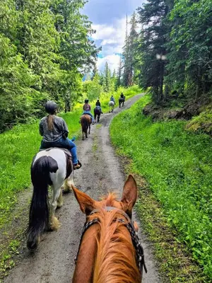 a group of people riding horses down a dirt road at The Marmot's Den in Sun Peaks