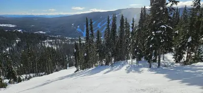 a snow covered slope with trees on a mountain at The Marmot's Den in Sun Peaks