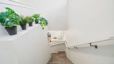 a stairway with potted plants on a white wall at A Home away from Home in Calgary