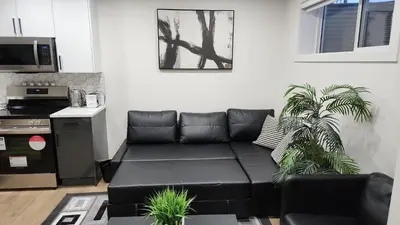 a black couch in a living room with two plants at Super luxury suite in Edmonton