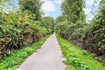 a dirt road with trees on both sides at Spacious comfy stay in Richmond