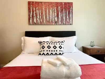a bed with a black and white pillow on it at Spacious 6 beds 3 baths home in Central WiFi parking AC in Edmonton